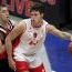 Danilo gallinari_1235315039.jpg